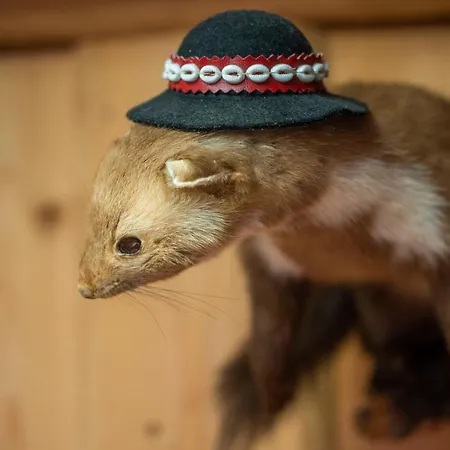 Nocleg ze śniadaniem Gościnne U Małgorzaty